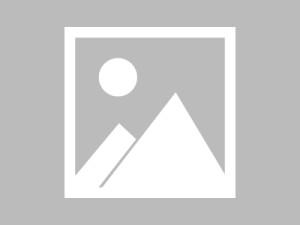 217年电商，机遇与挑战并存，未来充满希望