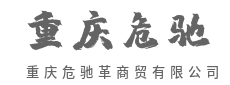 数字化重塑贸易链路，高效赋能增长-重庆危驰革商贸有限公司